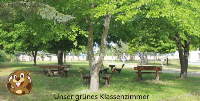 gruenesklassenzimmerbiber.jpg